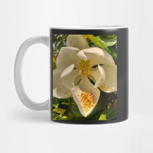 The Sweet Purity of Magnolia Abundance and Unabashed Splendor Mug